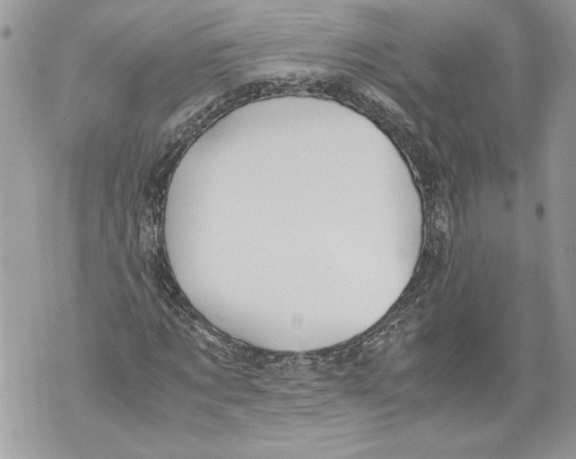 X0000071840869200607290105