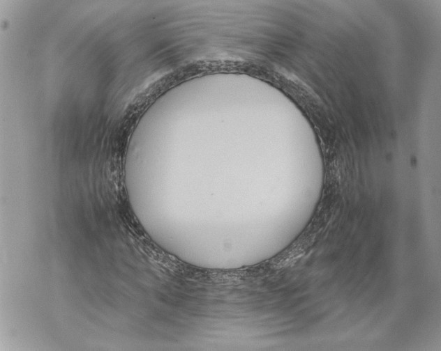 X0000071840870200607290105