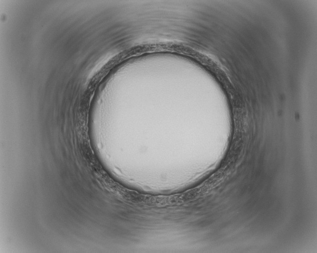 X0000071840871200607290105