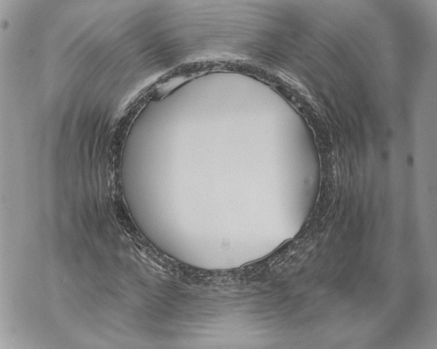 X0000071840872200607290105