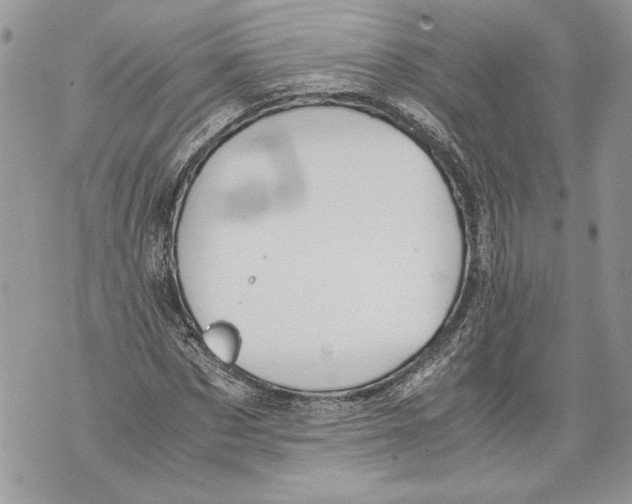 X0000071840873200607290105