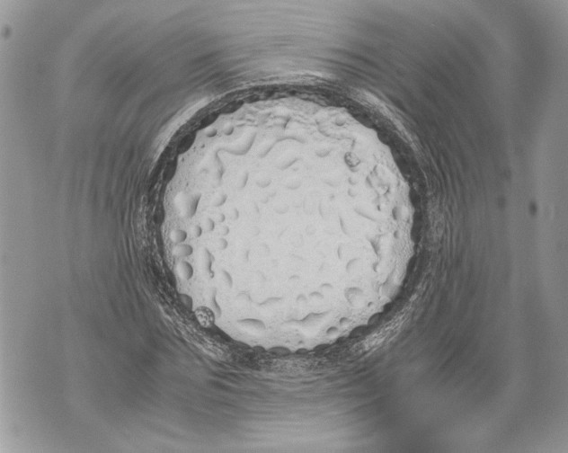 X0000071840875200607290105