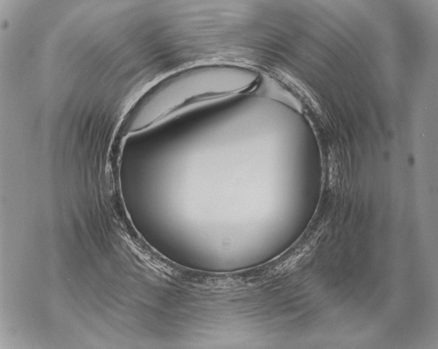 X0000071840876200607290105