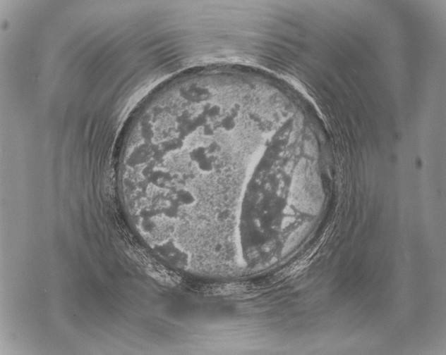 X0000071840879200607290105