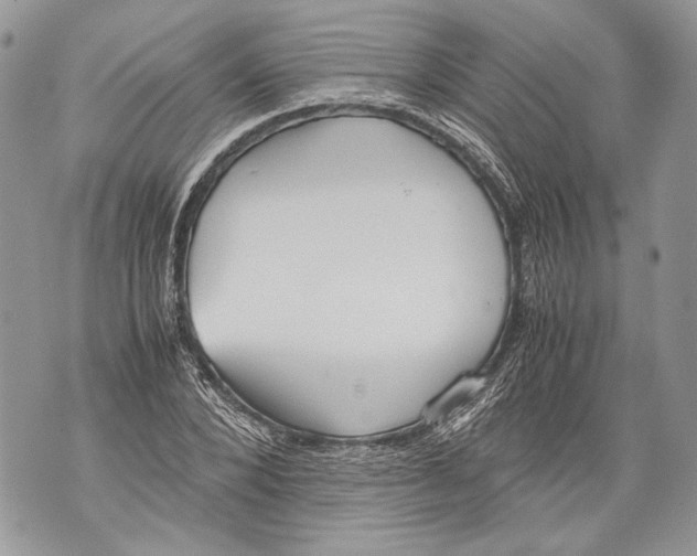 X0000071840880200607290105