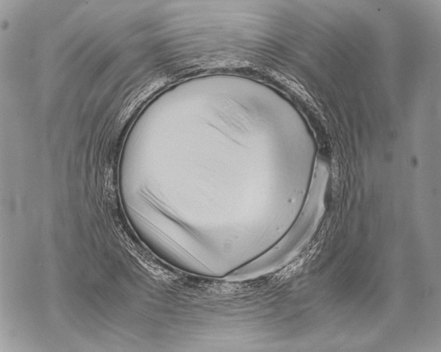 X0000071840881200607290105