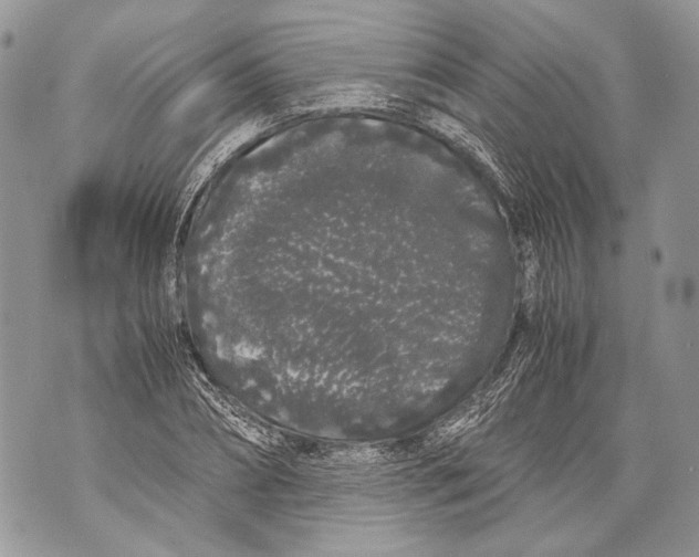 X0000071840882200607290105