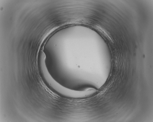 X0000071840884200607290105