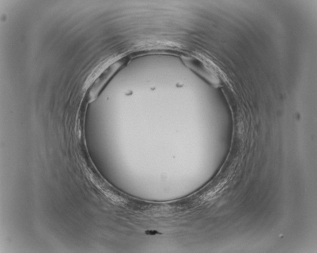 X0000071840885200607290105