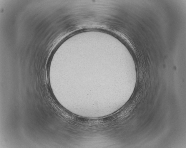 X0000071840887200607290105