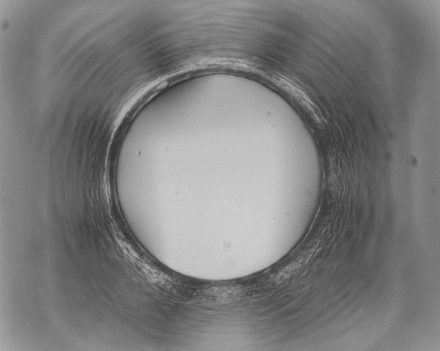 X0000071840888200607290105