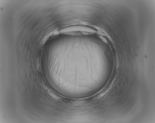 X0000071840889200607290105