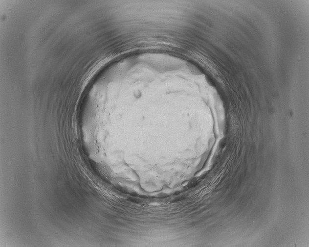 X0000071840891200607290105