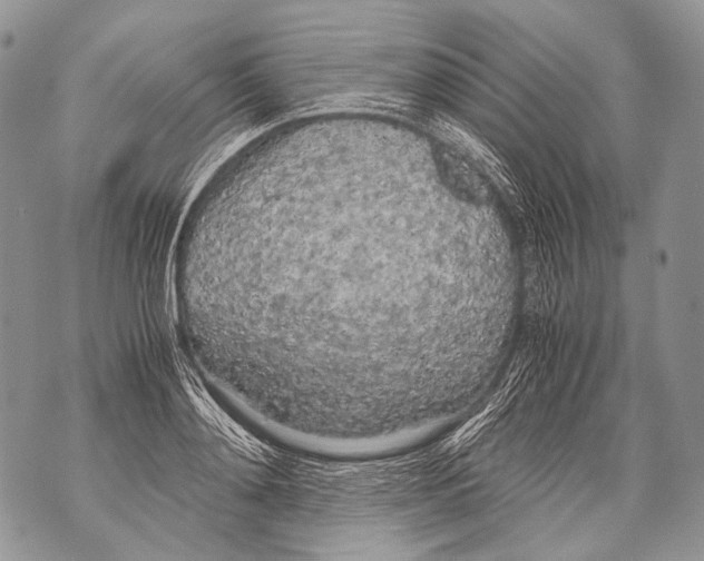 X0000071840892200607290105