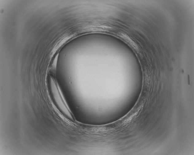 X0000071840893200607290105