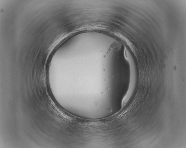 X0000071840894200607290105