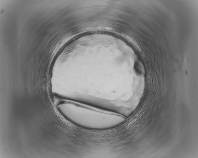 X0000071840895200607290104