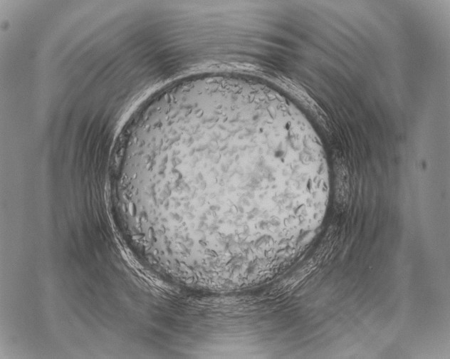 X0000071840896200607290104