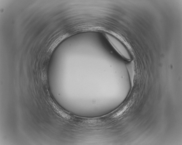 X0000071840897200607290104