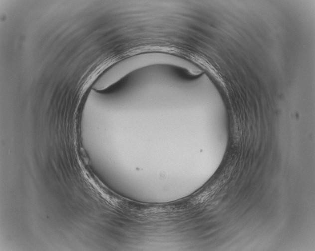 X0000071840898200607290104