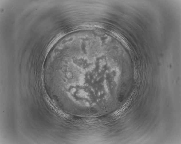 X0000071840899200607290104