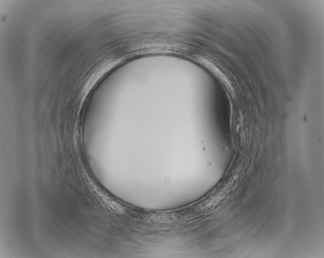 X0000071840901200607290104