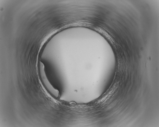 X0000071840902200607290104