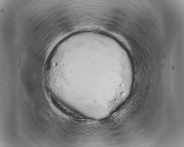 X0000071840903200607290104