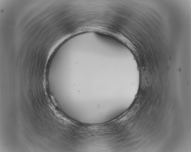 X0000071840904200607290104