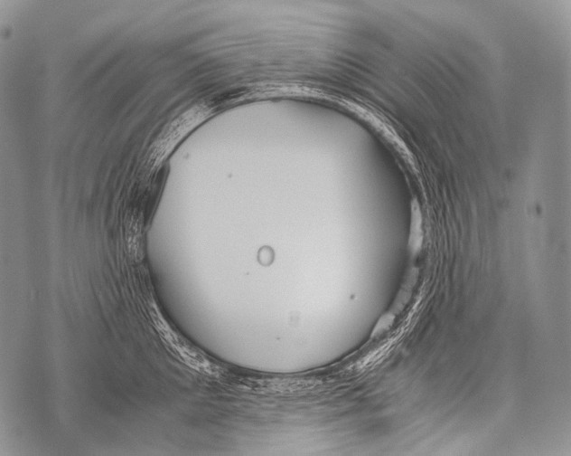 X0000071840905200607290104