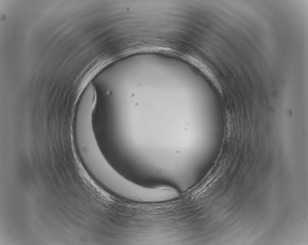 X0000071840906200607290104