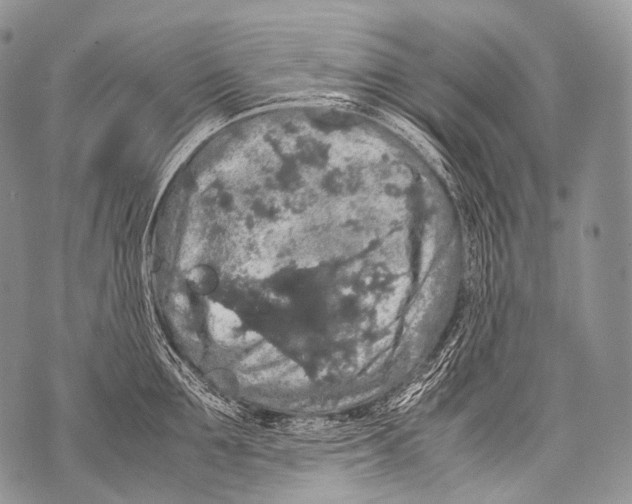 X0000071840907200607290104