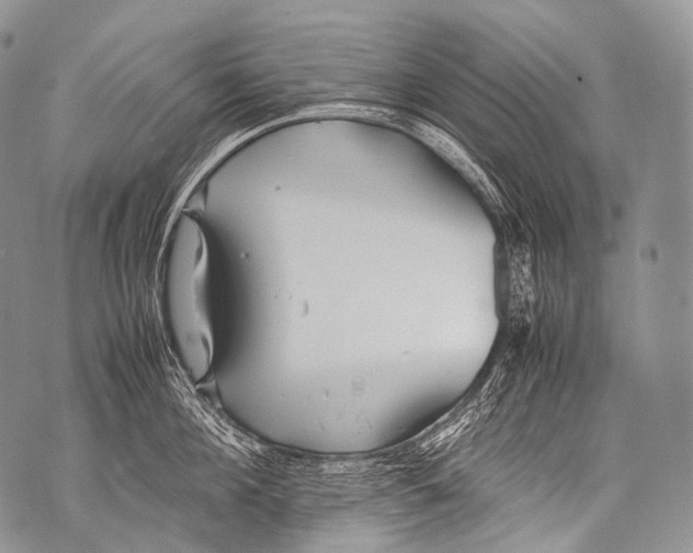 X0000071840908200607290104