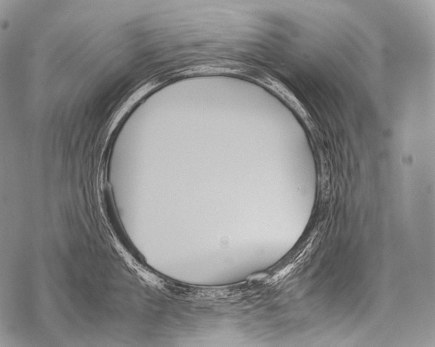 X0000071840909200607290104