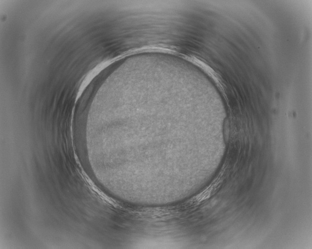 X0000071840910200607290104