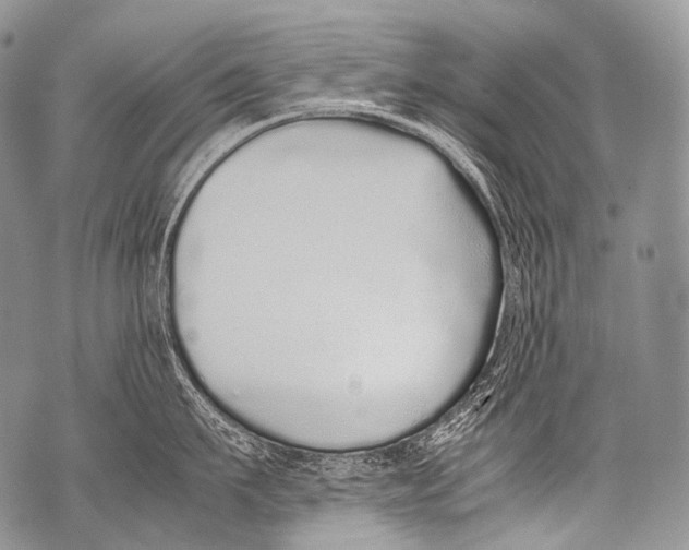 X0000071840911200607290104