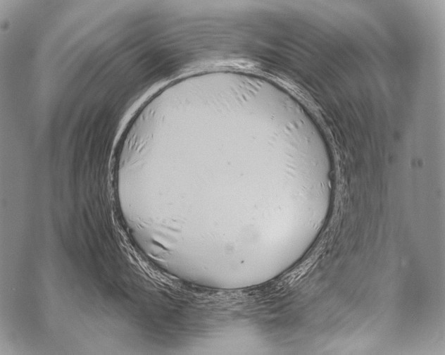 X0000071840912200607290104