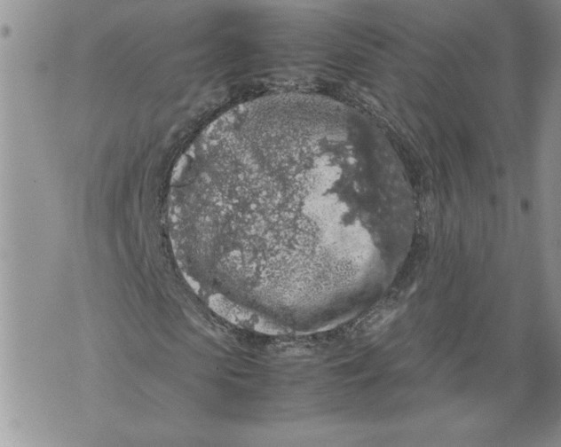 X0000071840913200607290103