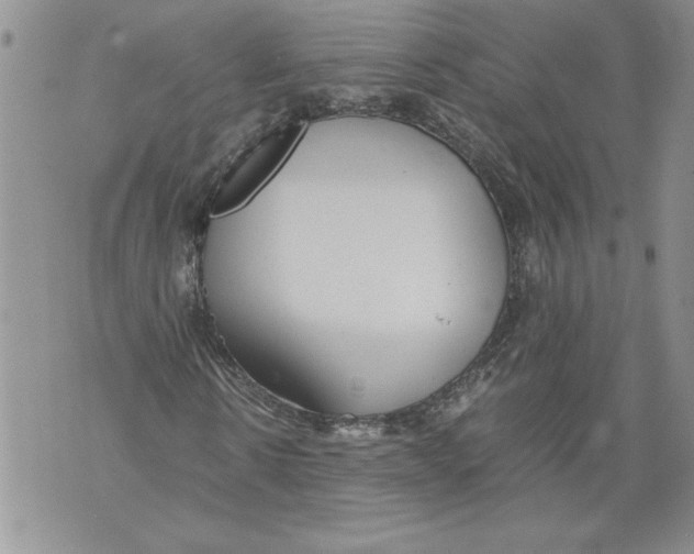 X0000071840914200607290103