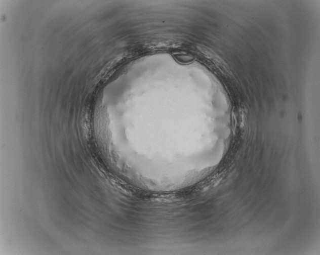 X0000071840915200607290103