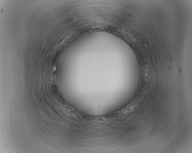 X0000071840916200607290103