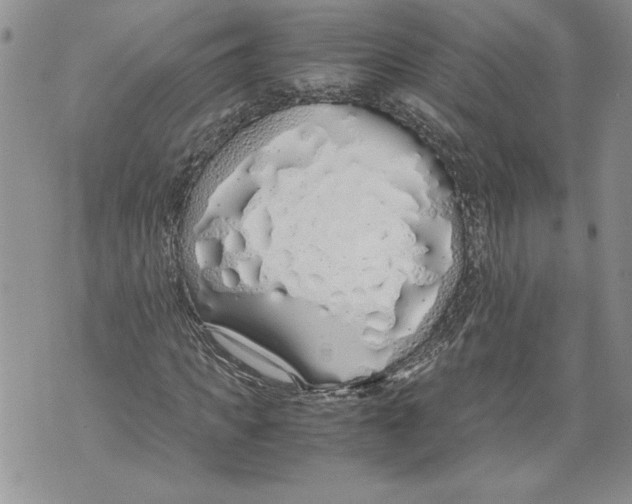 X0000071840917200607290104