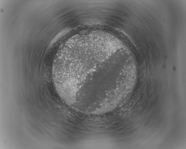 X0000071840919200607290104