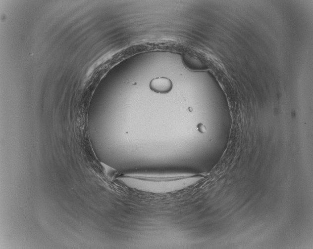 X0000071840920200607290104