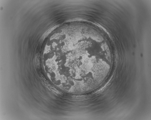 X0000071840921200607290104