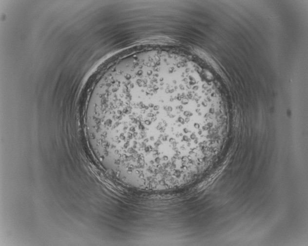 X0000071840923200607290104