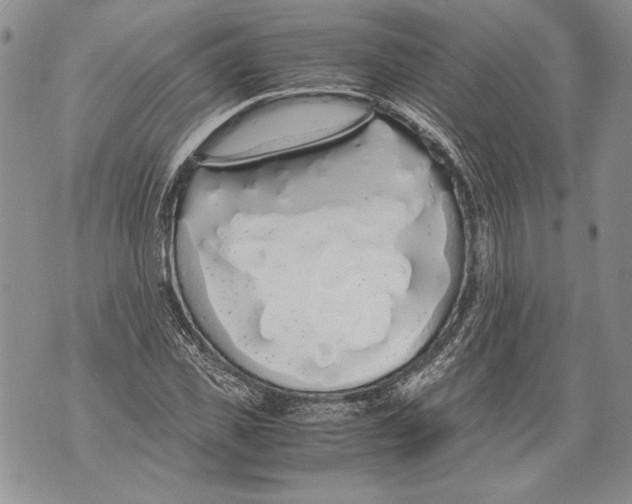 X0000071840925200607290104