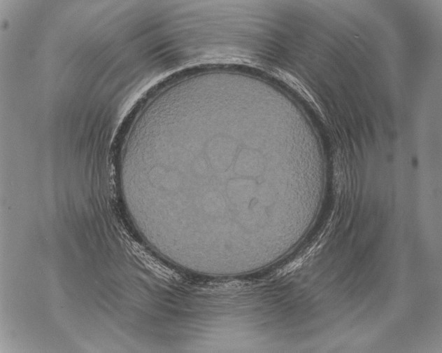 X0000071840926200607290104