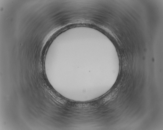 X0000071840927200607290104