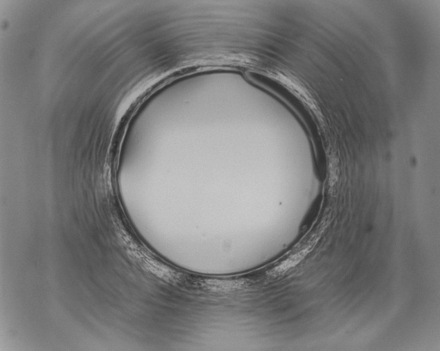 X0000071840928200607290104